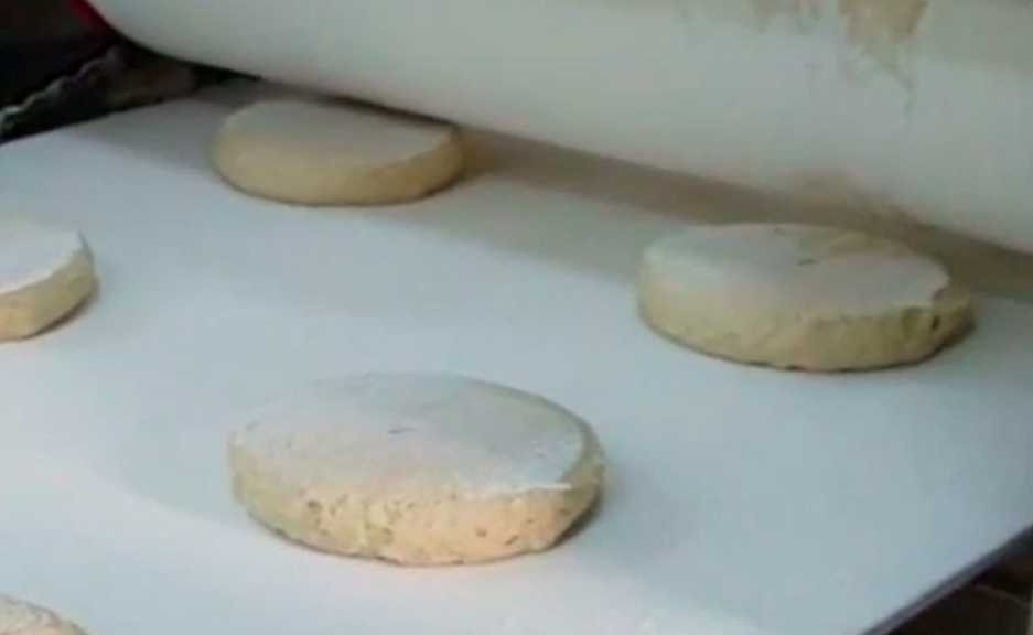 Fully Automatic Roti Plant